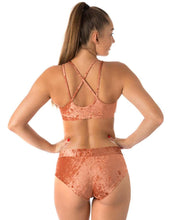 Load image into Gallery viewer, Nicole Velvet Dragonfly Top