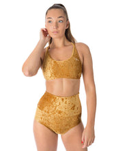 Load image into Gallery viewer, Nicole Velvet Dragonfly Top