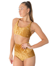 Load image into Gallery viewer, Nicole Velvet Dragonfly Top