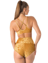 Load image into Gallery viewer, Nicole Velvet Dragonfly Top