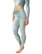 Load image into Gallery viewer, Adriana velvet Dragonfly leggings