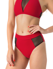 Load image into Gallery viewer, Molly Dragonfly mesh shorts 24/48 HRS