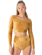 Load image into Gallery viewer, Betty Velvet Dragonfly High Waist Shorts