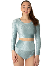 Load image into Gallery viewer, Betty Velvet Dragonfly High Waist Shorts