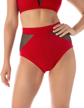 Load image into Gallery viewer, Monica Dragonfly mesh shorts