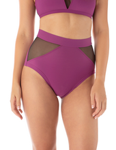 Load image into Gallery viewer, Monica Dragonfly mesh shorts