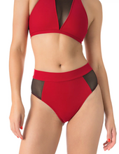 Load image into Gallery viewer, Molly Dragonfly mesh shorts 24/48 HRS