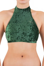Carregar imagem no visualizador da galeria, Top Lisette de veludo Dragonfly