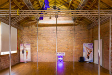 Carregar imagem no visualizador da galeria, Suporte de esfera Suporte esférico Sistema de montagem de esfera abobadada com inserção em T X-POLE