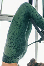 Load image into Gallery viewer, Adriana velvet Dragonfly leggings