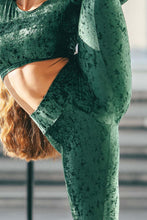 Load image into Gallery viewer, Adriana velvet Dragonfly leggings