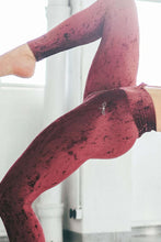 Load image into Gallery viewer, Adriana velvet Dragonfly leggings