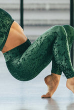 Load image into Gallery viewer, Adriana velvet Dragonfly leggings