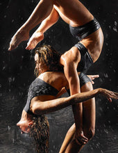 Load image into Gallery viewer, Lisette Dragonfly Sports Top