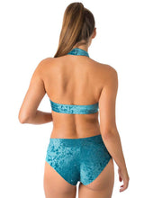 Carregar imagem no visualizador da galeria, Top Lisette de veludo Dragonfly
