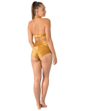 Carregar imagem no visualizador da galeria, Top Lisette de veludo Dragonfly
