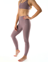 Load image into Gallery viewer, Adriana velvet Dragonfly leggings
